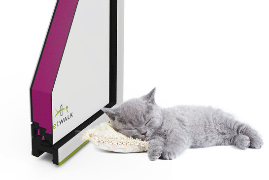 Katze schläft neben PetWalk Tiertür
