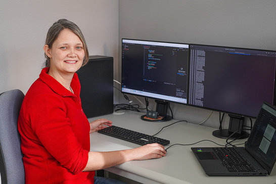 Entwicklung Software